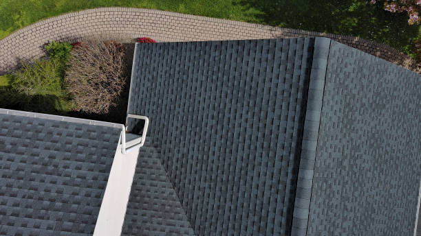 Best Roof Moss and Algae Removal  in USA